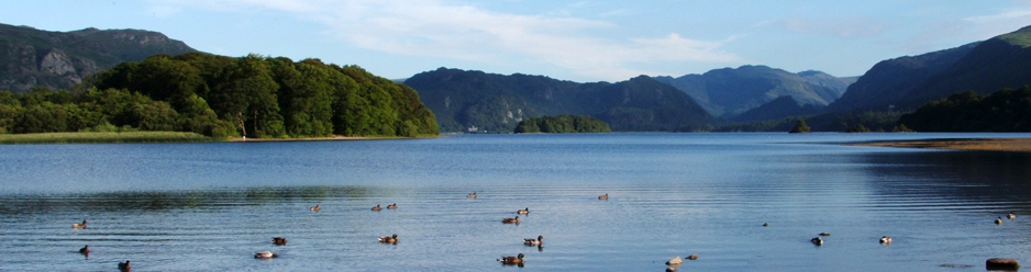 Ducks on Derwentwater