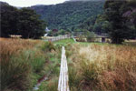 Duckboard to Chinese Bridge around Derwentwater